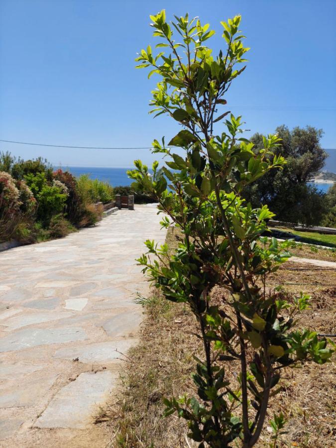 Skinammos Eco Villas Marmari  Dış mekan fotoğraf