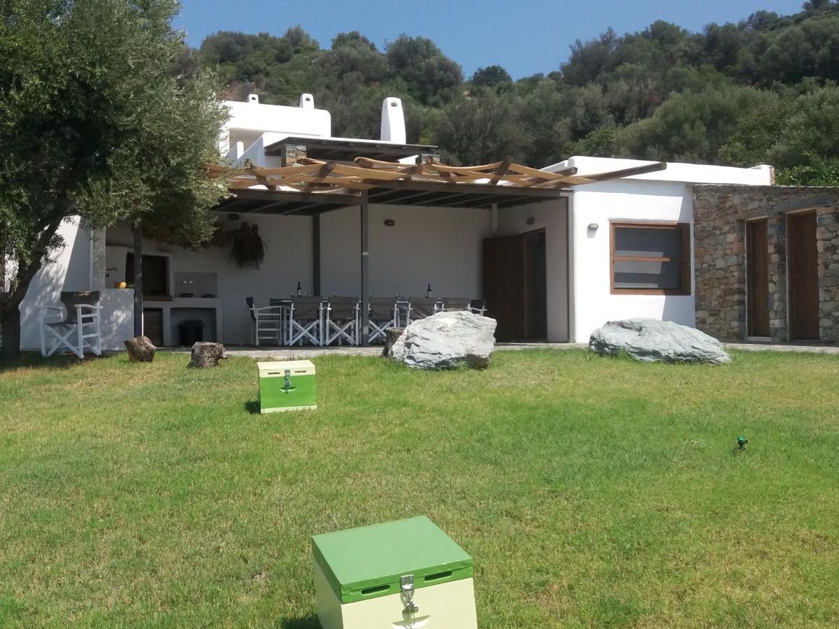 Skinammos Eco Villas Marmari  Dış mekan fotoğraf